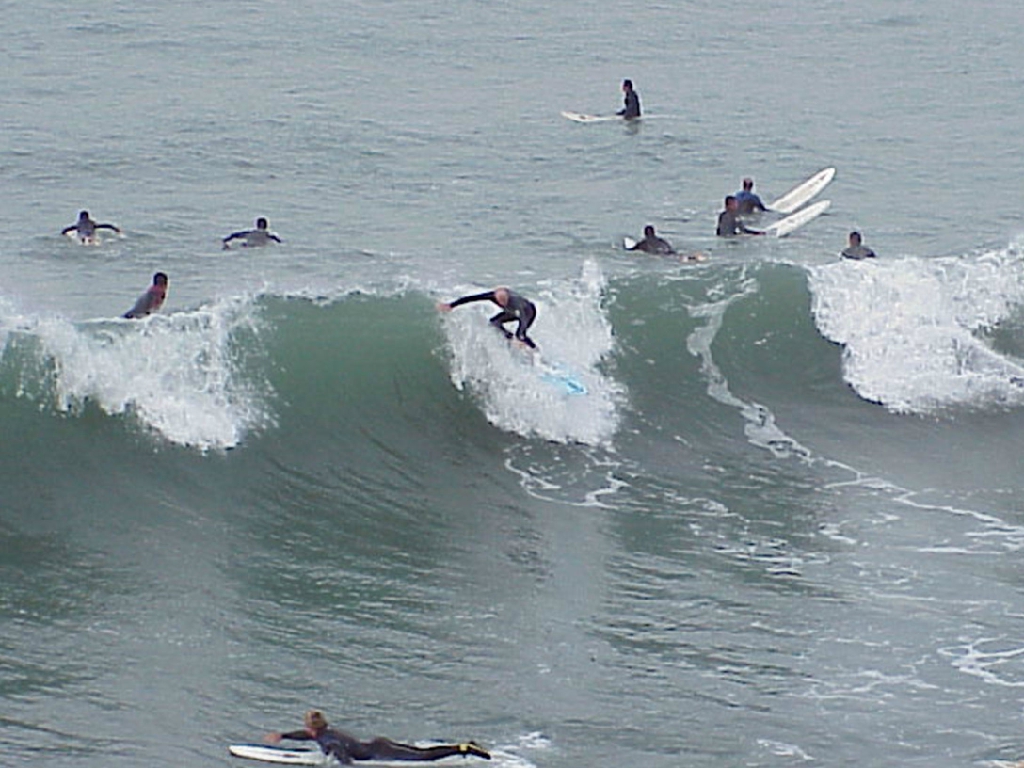 Ray_Surfing_Photos27
