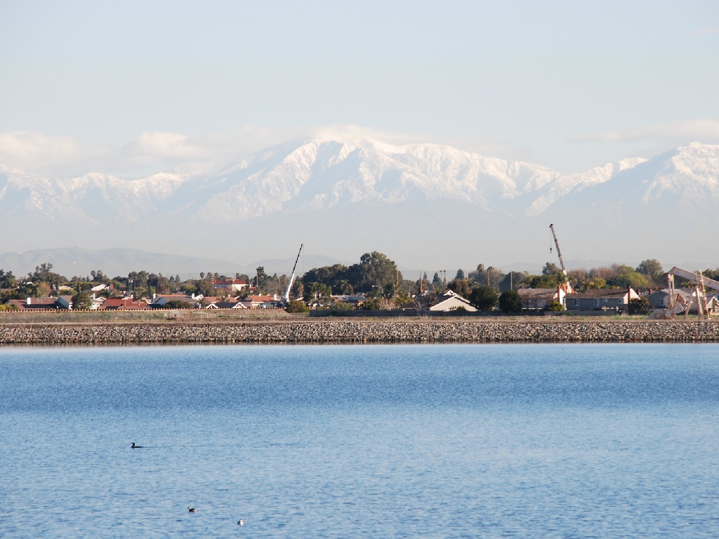 HB_Wetlands2