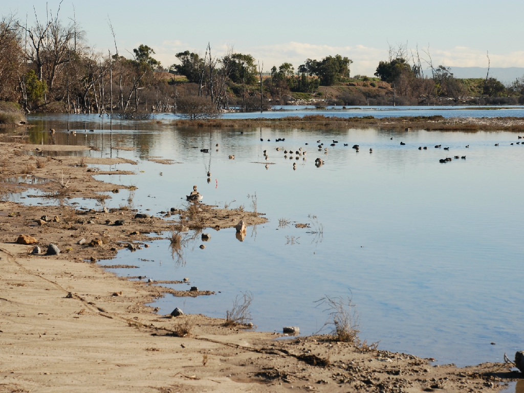 HB_Wetlands5
