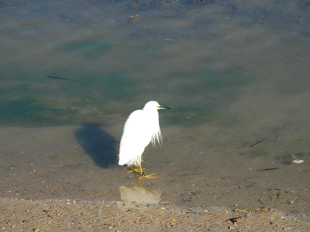 HB_Wetlands8