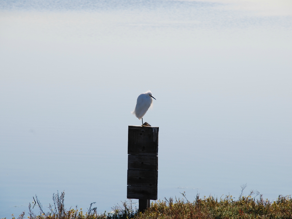 HB_Wetlands9
